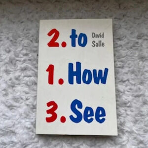 How To See — Looking‎ Talking And Thinking About Art by David Salle
